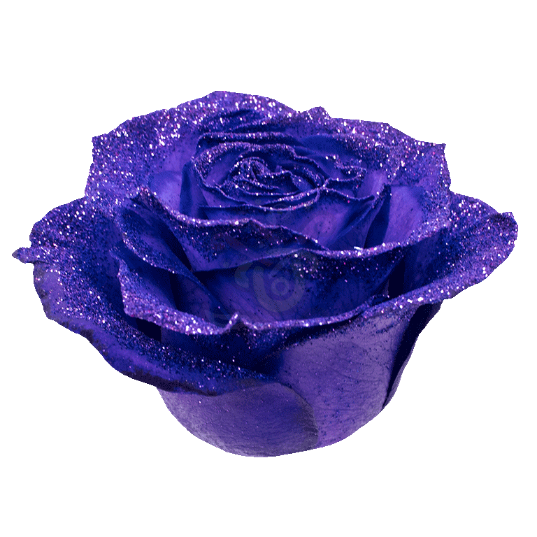 Purple Glittered Roses