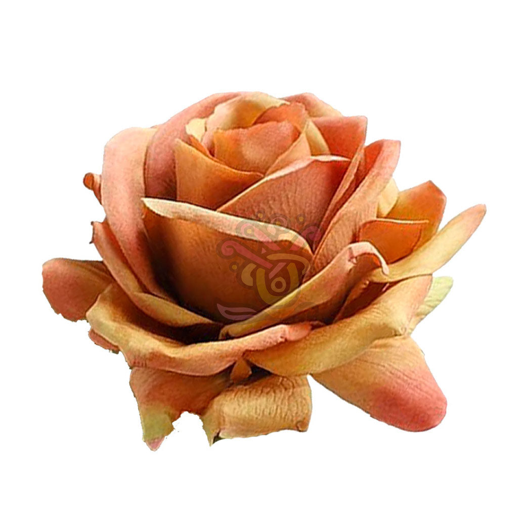 Toffee Roses • Asiri Blooms