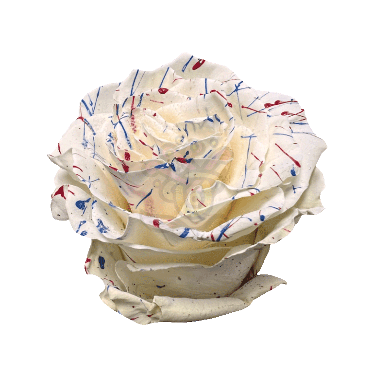 US White Confetti Glittered Roses 2