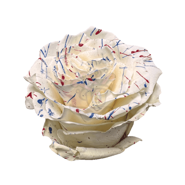 US White Confetti Glittered Roses 2