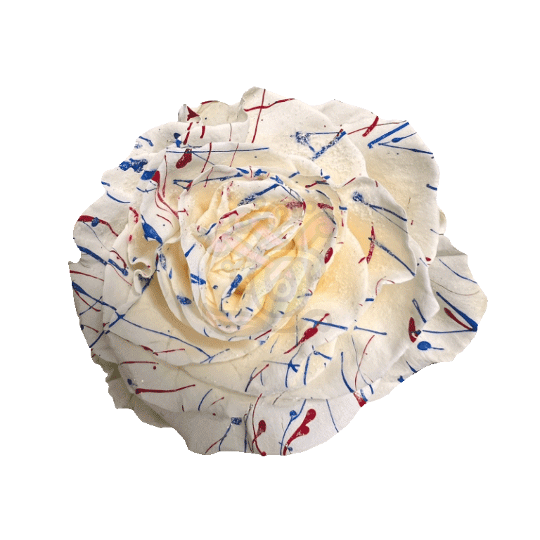 US White Confetti Glittered Roses