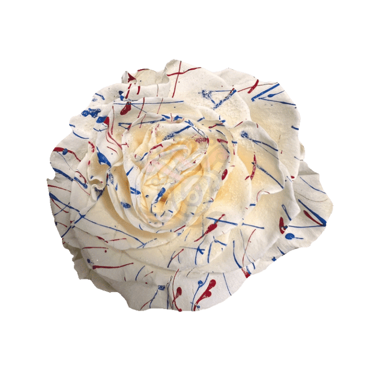 US White Confetti Glittered Roses