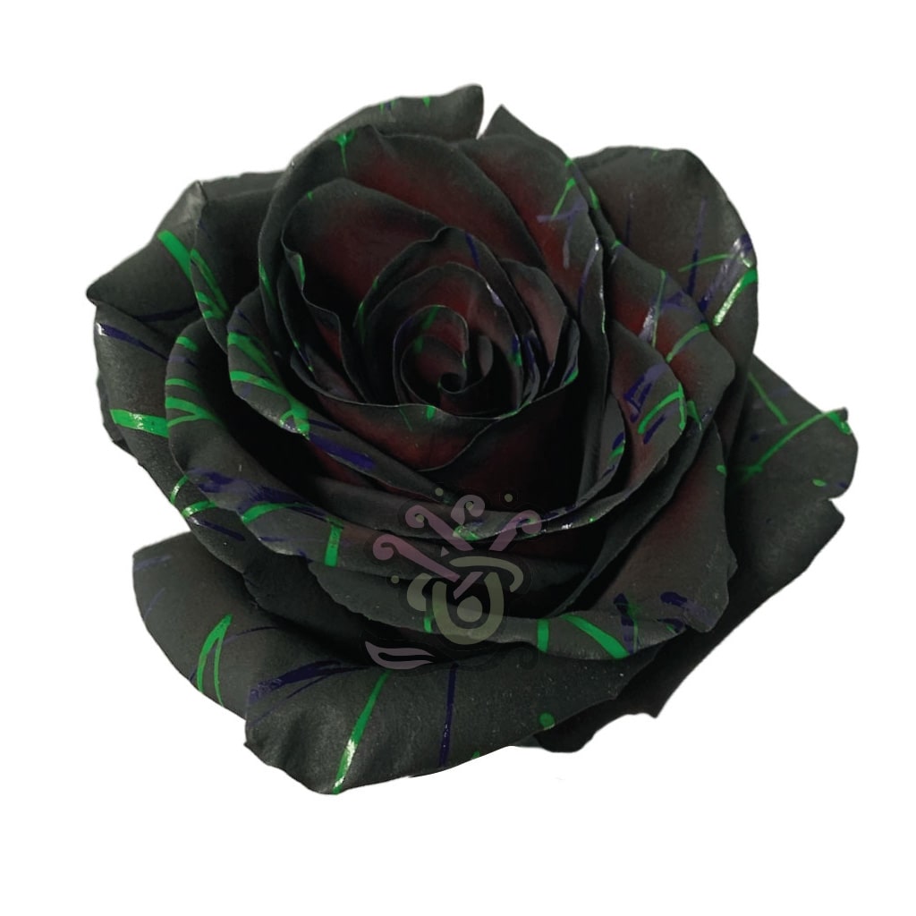Black Halloween Confetti-2 • Tinted Roses