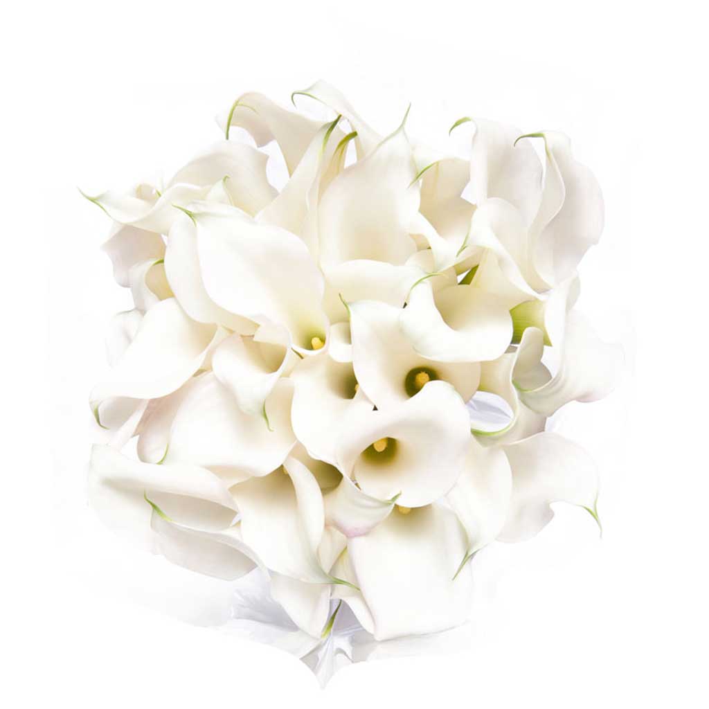 Bridesmaid Calla Lilies • Asiri Blooms