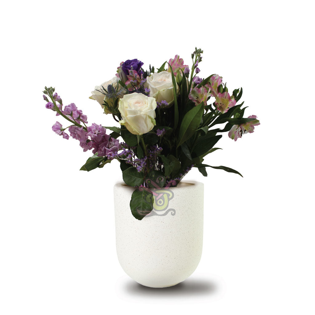 Graceful Gardenia Collection • Asiri Blooms
