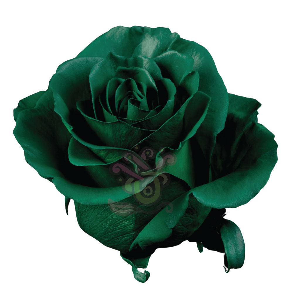 Dark Green Tinted Roses