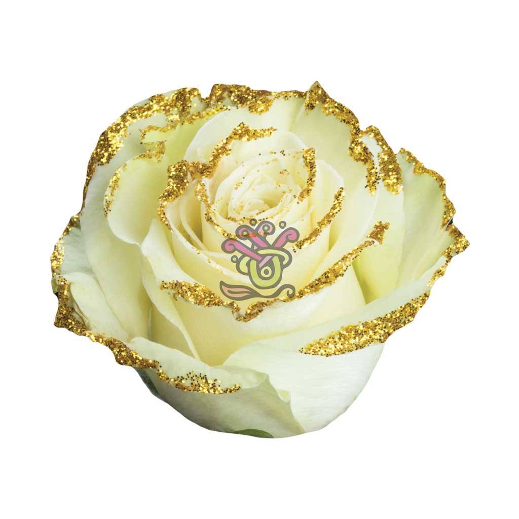 Mirth Glittered Roses • Asiri Blooms